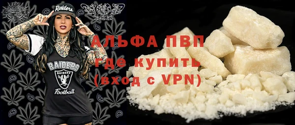 индика Покров