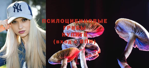 а пвп мука Покачи
