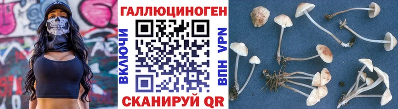 Галлюциногенные грибы ЛСД  как найти закладки  Усть-Илимск 