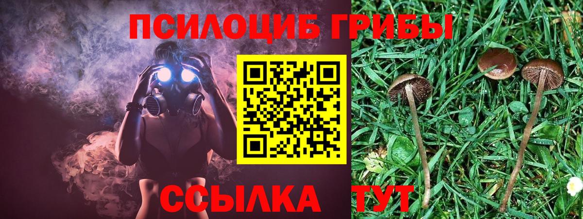 Усть-Илимск  Псилоцибиновые грибы Psilocybine cubensis  Псилоцибиновые грибы ЛСД  Вход с VPN 